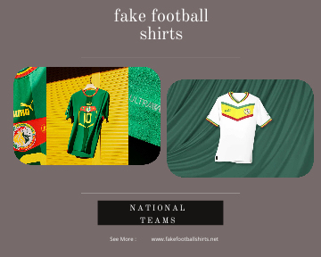 fake Senegal football shirts 23-24